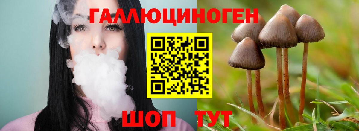 Темрюк  Галлюциногенные грибы Cubensis  Вход с VPN 